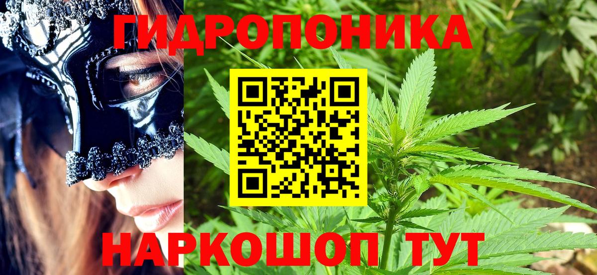 Канабис Bruce Banner  Вход с VPN  Нижнеудинск  Бошки Шишки OG Kush  Марихуана конопля 